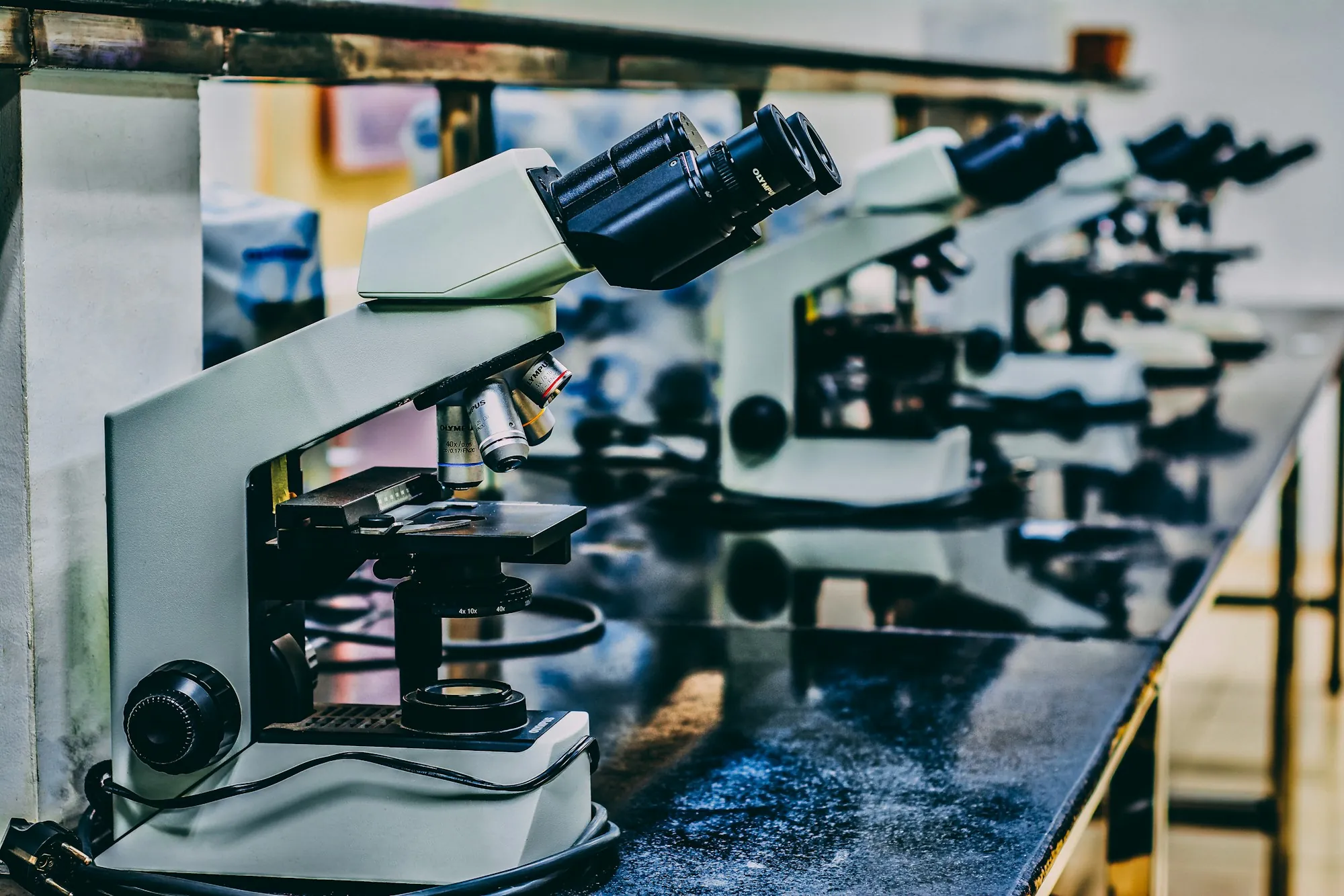 Row of microscopes on a lab bench